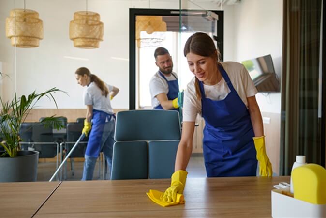 professional cleaning servic (1)